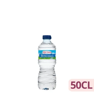 Agua mineral pequeña Bronchales