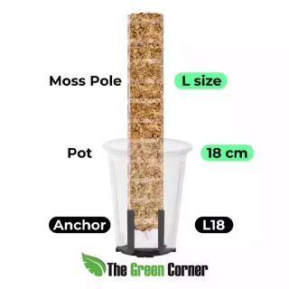 Anclaje para tutor de apertura frontal L