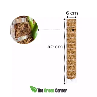 Tutor de musgo con apertura frontal M