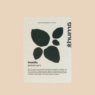 Basilic grand vert – Hums