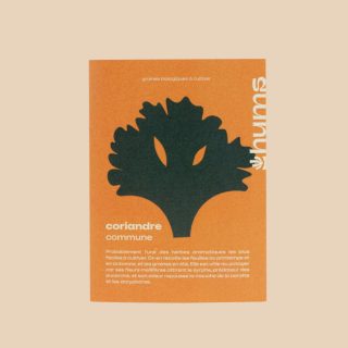 Coriandre – Hums