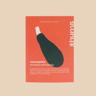 Courgette – Hums