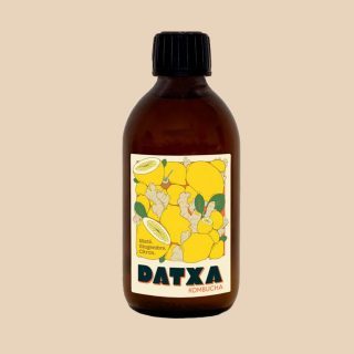 Kombucha de Mate y jengibre – Datxa