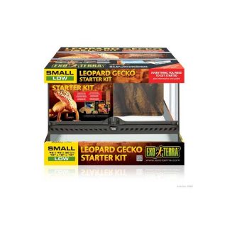 KIT DE INICIO TERRARIO EXO TERRA PARA GECKO LEOPARDO