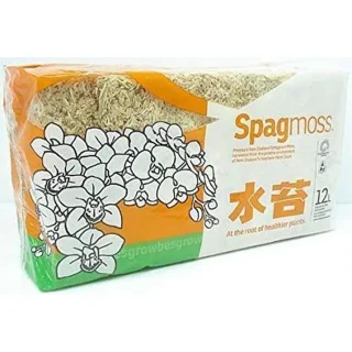 Musgo sphagnum Nueva Zelanda 150 gramos calidad Premier