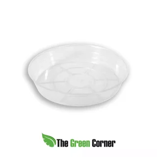 Plato para maceta Aroid pot: 22cm