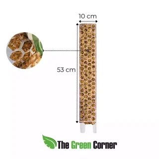 Tutor de musgo XL Transparente mate