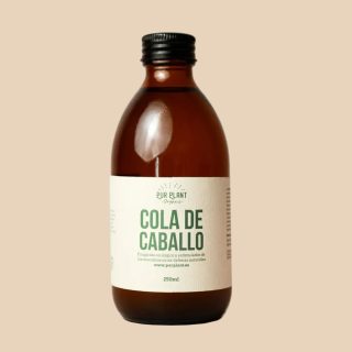 Cola de Caballo – Pur Plant
