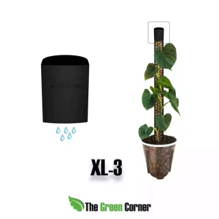 Sistema de riego para tutor XL3