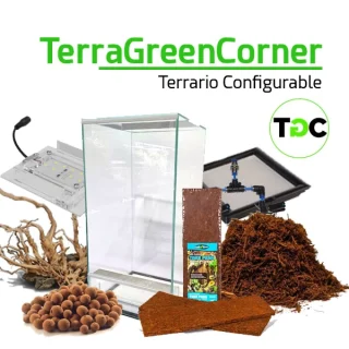 TerraGreenCorner 25: Terrario configurable