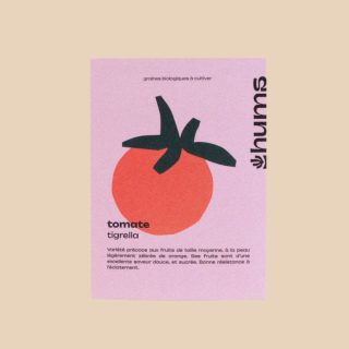 Tomate tigrella – Hums